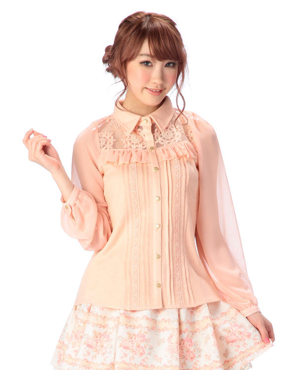 Blusa de manga de gasa de enca - Embroidery Organza reseña y precio