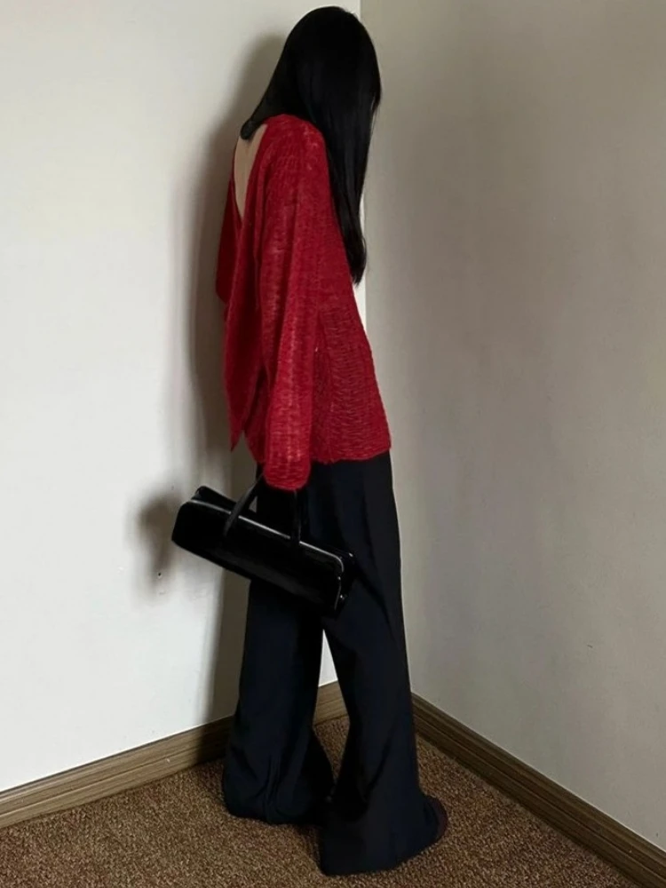 Camiseta de punto transparente - Embroidery Fashion reseña y precio